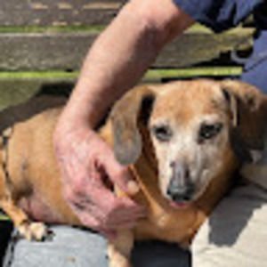 Meet your Posher, Richard